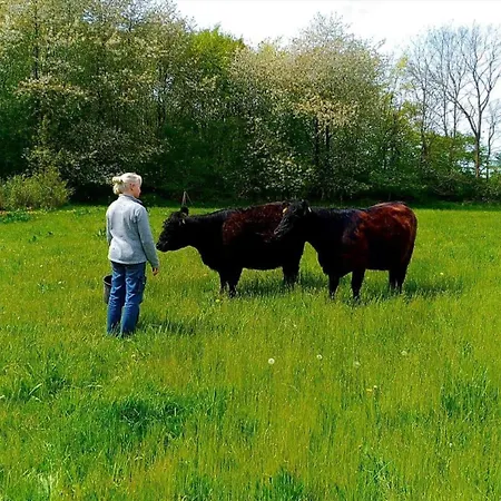 9131-ronne-sorteengevejen-5 Appartement Rønne