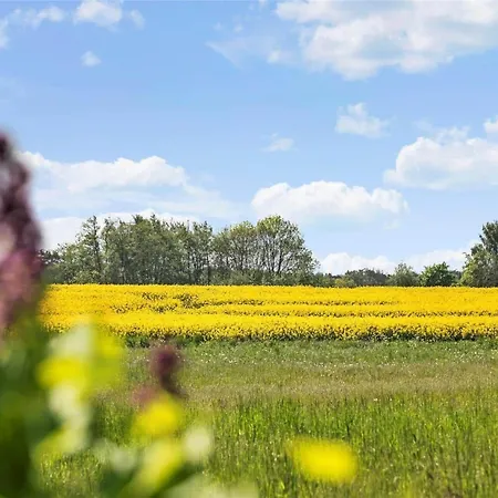 9131-ronne-sorteengevejen-5 *