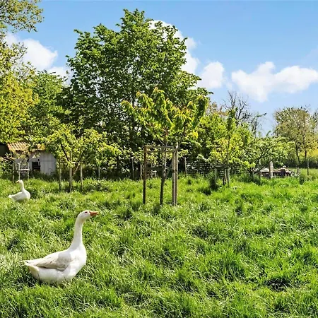 Appartement 9131-ronne-sorteengevejen-5 Rønne