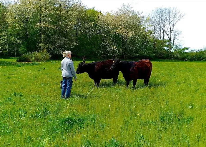 9131-ronne-sorteengevejen-5 Διαμέρισμα Rønne