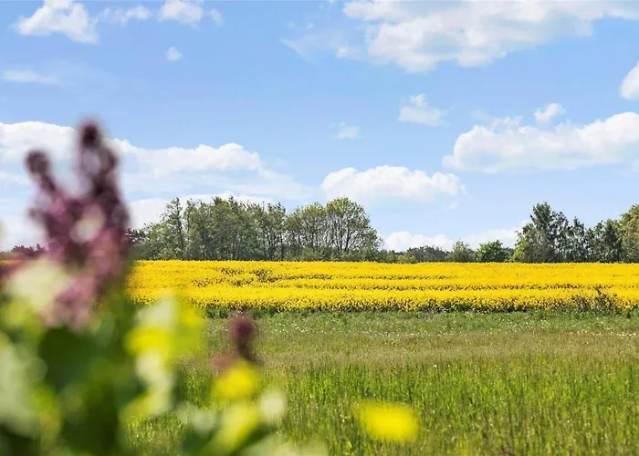 9131-ronne-sorteengevejen-5 *