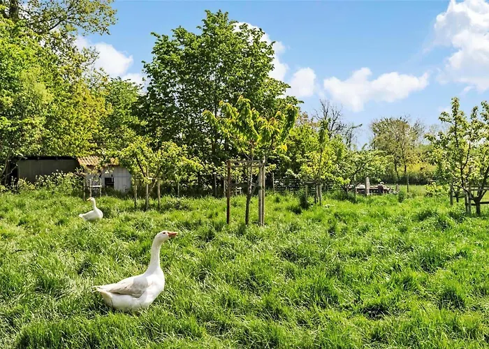 Appartement 9131-ronne-sorteengevejen-5 Rønne